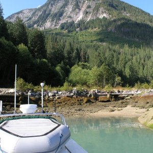 Toba Inlet 2.JPG

Water is milky green from glacial melt.  Can't see the bottom and depth finder tends to read the boundary area between fresh & salt or about 3'.