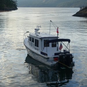 Media 'Alpine Mist - Jedia Island' in album 'Jervis Inlet, BC Canada - near Princess Louisa'