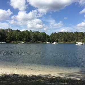 Hanging out in Salt Springs.