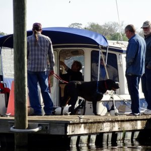 There is always lots of help when a boat "backs in"--even the dogs get in on the action.