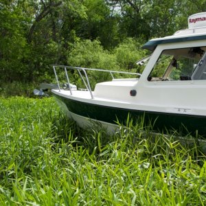 more weed anchoring
