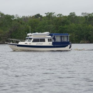C Otter