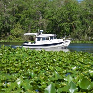Bettie's Bateau on the Oklawaha River.