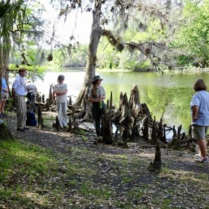 Ranger talk and walk.  On Hontoon Dead River.
