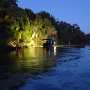 Bow hunting for Tilapia at Silver Glen (and Salt) springs.