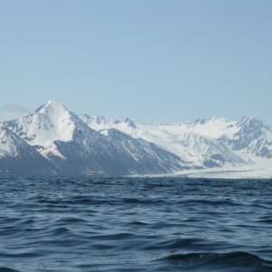 Bear Glacier