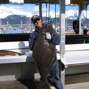 nice halibut Seward