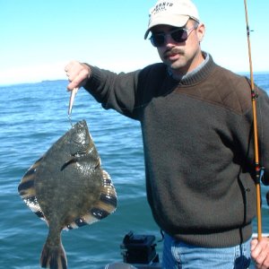 (416rigby) Starry Flounder