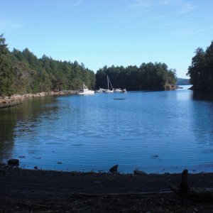 Looking south along Conover Cove.