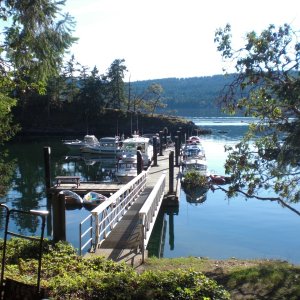 7 C-Dory's at the dock, Conover Cove.