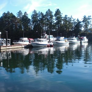 Pod at Conover Cove.