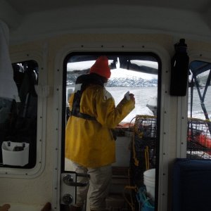First Mate processing shrimp, heading home, Port Wells, PWS