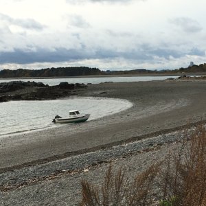 Beach combing on Rainsford Island in the Boston Harbor.