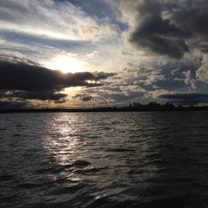 Media '--------' in album 'Beach combing on Rainsford Island in the Boston Harbor.'