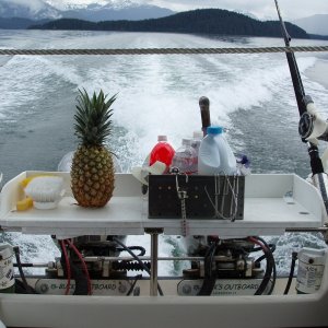 Icy Straits