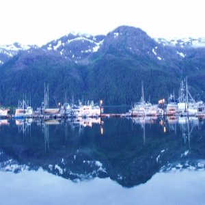 The eve of Commerical King Season - Pelican 2006