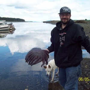 C Dory at the dock at our cabin on Horse Island Juneau, AK