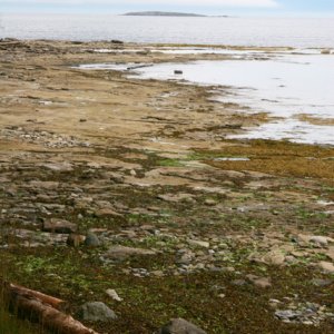 Newcastle Island, looking NE. Note the low fog banks.