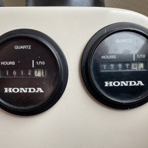 Media '' in album 'IMG 4206'