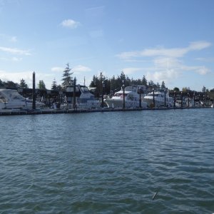 The entire visitor dock is reserved, for the Swinomish Yacht Club