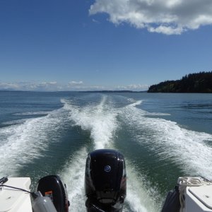 Unfortunately there was a pretty good Westerly breeze so I took the slough back North to the San Juans