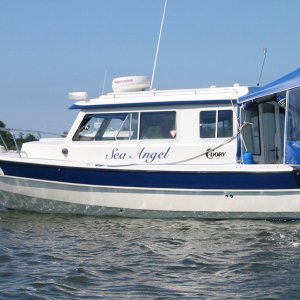 seaangel2