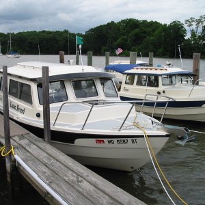 lunapearl