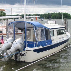 seaangel