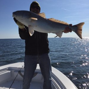 Redfish