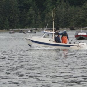Media 'Heading back to the start of the trolling.' in album 'Trolling on the Umpquah'
