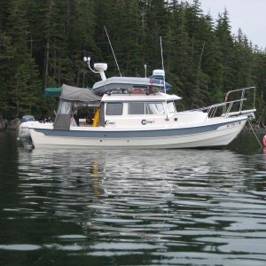 At Anchor - Surprise Cove