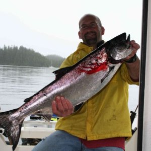 Buddy Scott, King Salmon