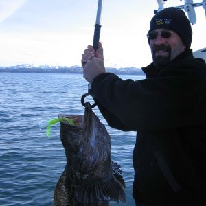 LINGCOD April 2007