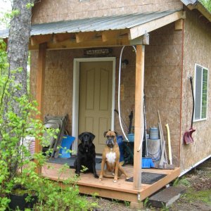The Boyz at our Cabin in Talkeetna, AK