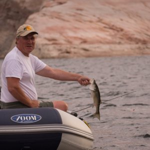 New dinghy and motor seem to bring the results that were hoped for...