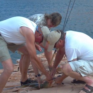 It took three people to tackle the big one...