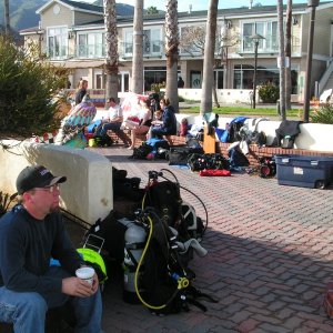Divers waiting for the start of the bay cleanup