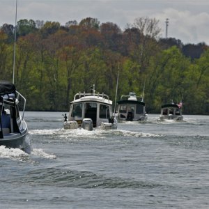 More brats on the Cumberland
