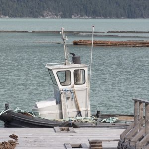 Log tender tied up at Bella Coola log camp