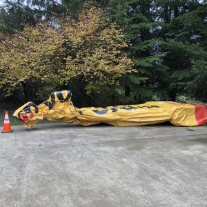 tarp
