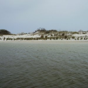 015 (4)