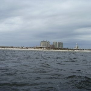 Media '017 (3)' in album '001 (2)'