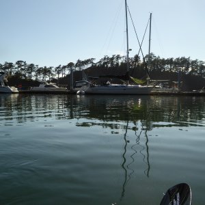 Inside of inner dock...still room for at least 3 more boats at 4 PM on a holiday Sunday.