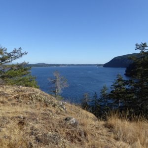 Media 'View from top of hill looking south towards Eagle Harbor' in album 'Leaving Friday Harbor Sunday morning in flat calm water.'
