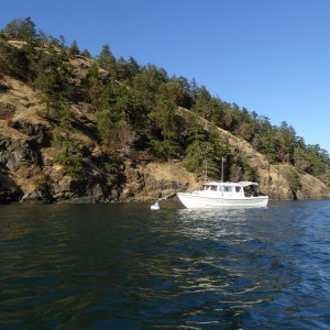 Media 'Back at the boat late Monday afternoon. Sometimes it almost seems windier inside Eagle harbor than out in the sound. I think the wind from the North gets caught by the island, then funneled down into the harbor.' in album 'Leaving Friday Harbor Sunday morning in flat calm water.'
