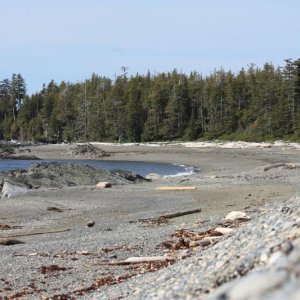 Beach at Secret Cove