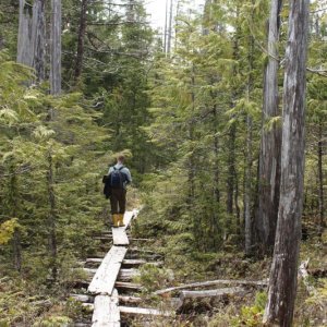 Boardwalk to the 'Far Side' at Oona River