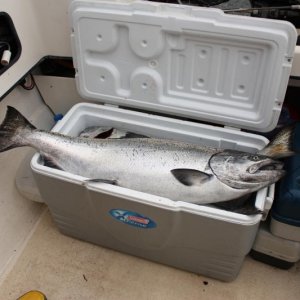 Need a bigger cooler!