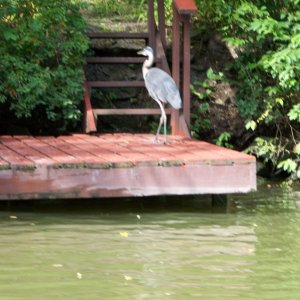 At first glance it looked like a cutout or decoy, the first of many.