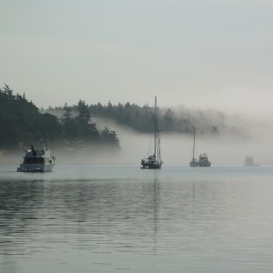 Fog coming in at Reid Harbor
